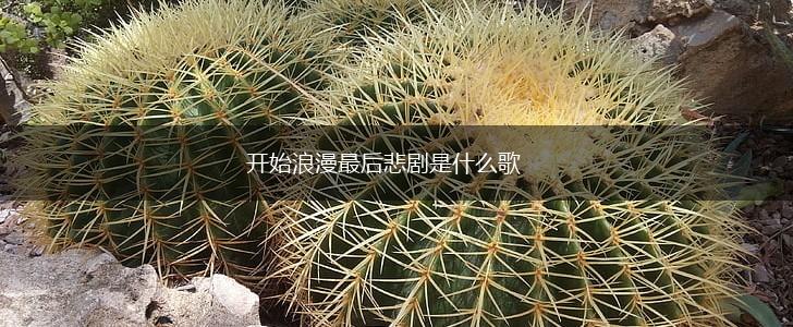 开始浪漫最后悲剧是什么歌,第1张