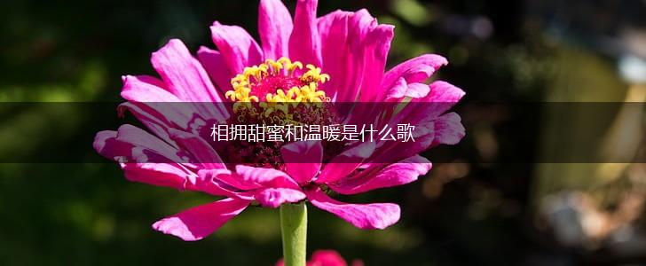 相拥甜蜜和温暖是什么歌,第1张