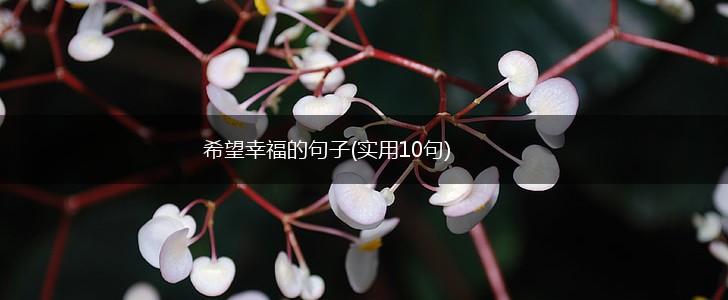 希望幸福的句子(实用10句),第1张