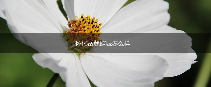 怀化岳麓欧城怎么样,第1张