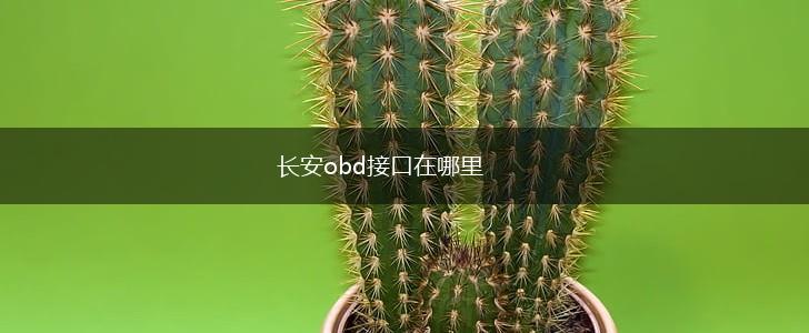长安obd接口在哪里,第1张