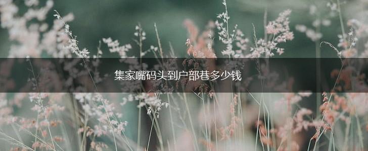 集家嘴码头到户部巷多少钱,第1张