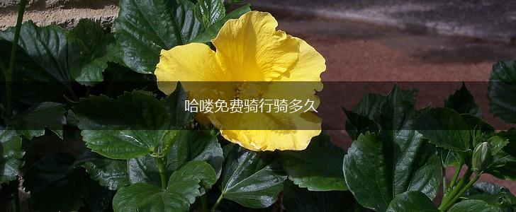 哈喽免费骑行骑多久,第1张