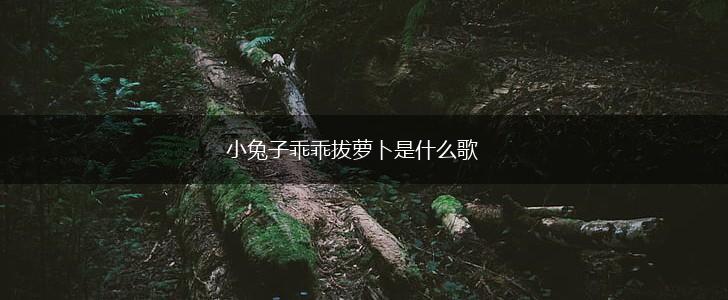 小兔子乖乖拔萝卜是什么歌,第1张