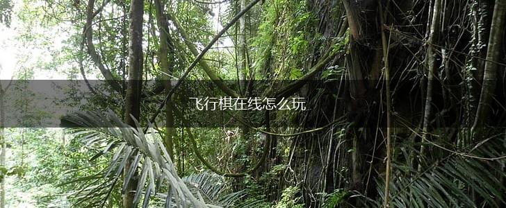 飞行棋在线怎么玩,第1张