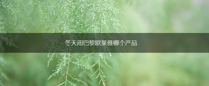 冬天用巴黎欧莱雅哪个产品,第1张