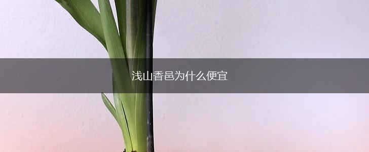 浅山香邑为什么便宜,第1张