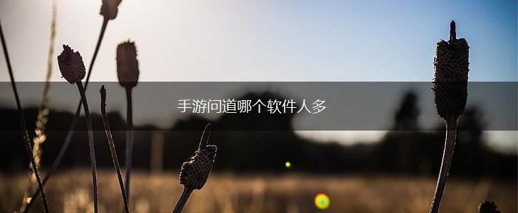 手游问道哪个软件人多,第1张