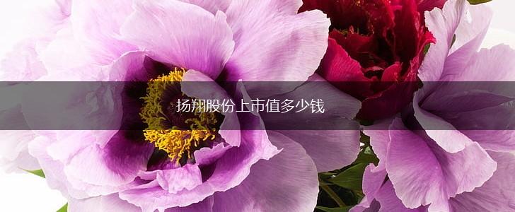 扬翔股份上市值多少钱,第1张