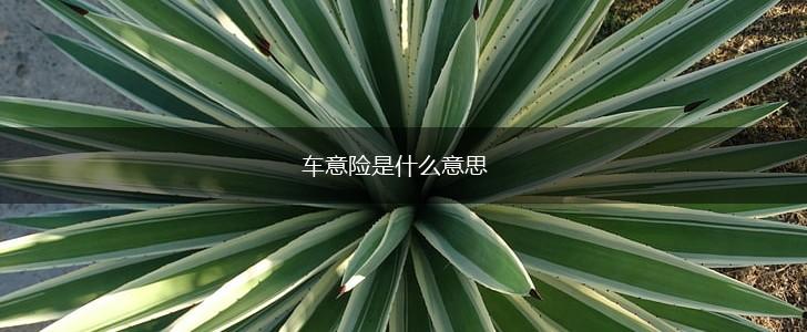 车意险是什么意思,第1张