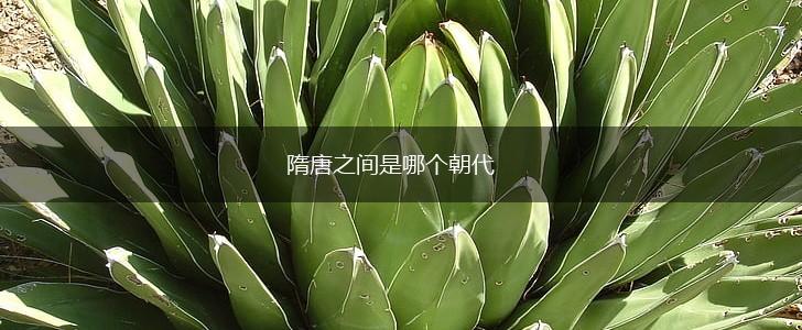 隋唐之间是哪个朝代,第1张
