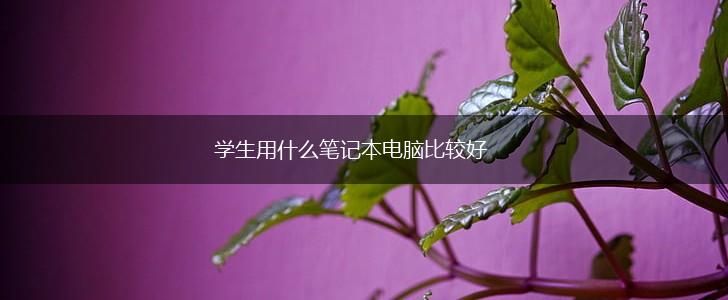 学生用什么笔记本电脑比较好,第1张