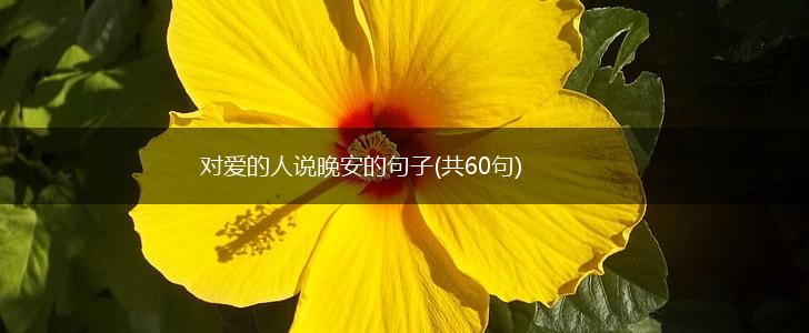 对爱的人说晚安的句子(共60句),第1张