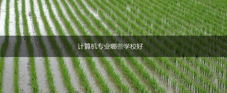 计算机专业哪些学校好,第1张
