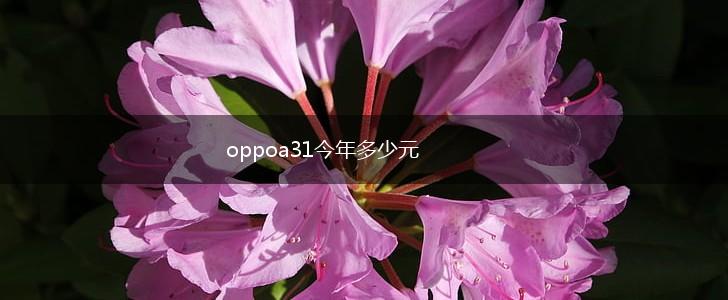 oppoa31今年多少元,第1张