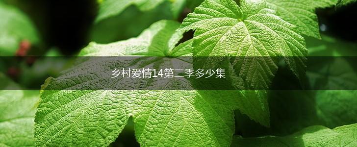 乡村爱情14第二季多少集,第1张