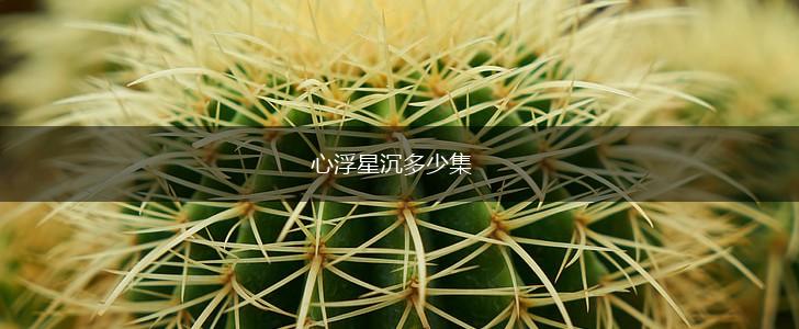 心浮星沉多少集,第1张