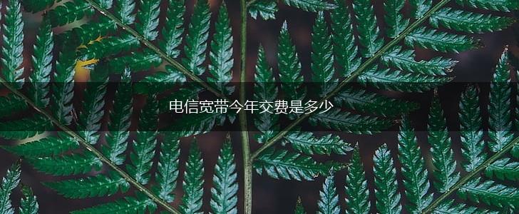 电信宽带今年交费是多少,第1张