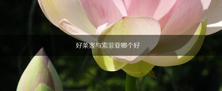 好莱客与索菲亚哪个好,第1张