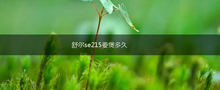 舒尔se215要煲多久,第1张