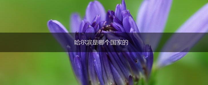 哈尔滨是哪个国家的,第1张