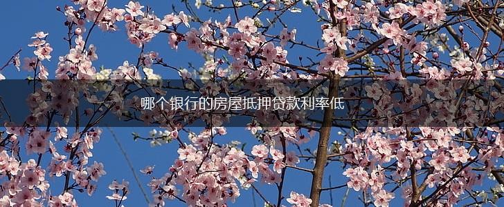 哪个银行的房屋抵押贷款利率低,第1张