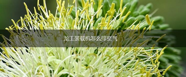 龙工装载机怎么排空气,第1张