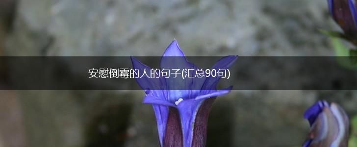 安慰倒霉的人的句子(汇总90句),第1张