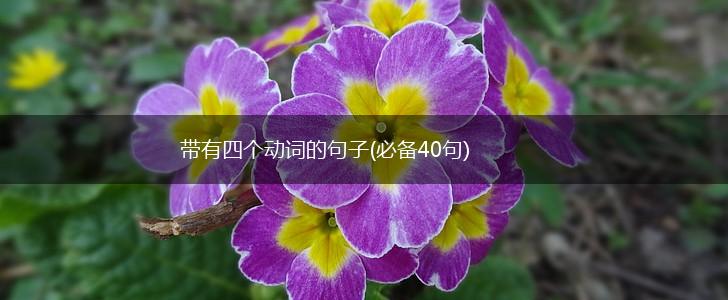 带有四个动词的句子(必备40句),第1张