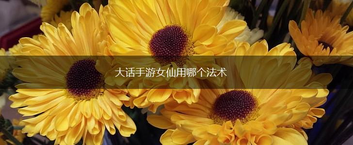 大话手游女仙用哪个法术,第1张