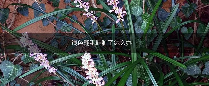 浅色翻毛鞋脏了怎么办,第1张