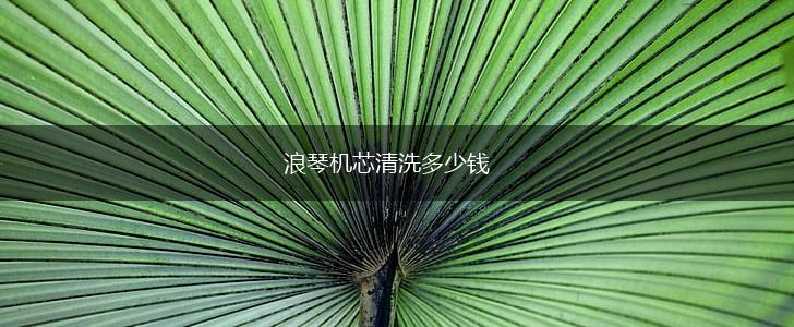 浪琴机芯清洗多少钱,第1张