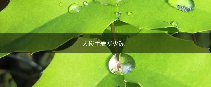 天梭手表多少钱,第1张
