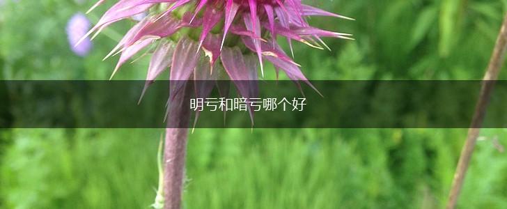 明亏和暗亏哪个好,第1张