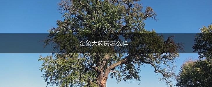 金象大药房怎么样,第1张