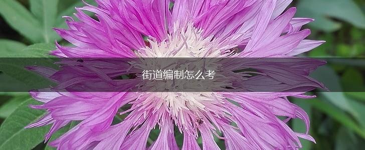 街道编制怎么考,第1张
