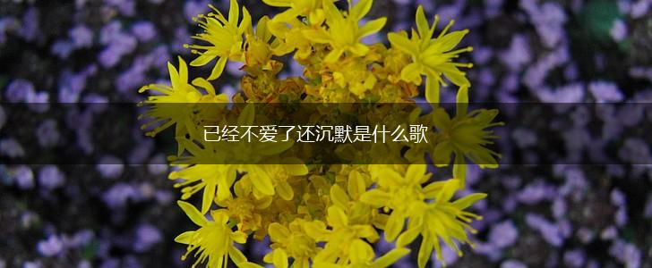 已经不爱了还沉默是什么歌,第1张