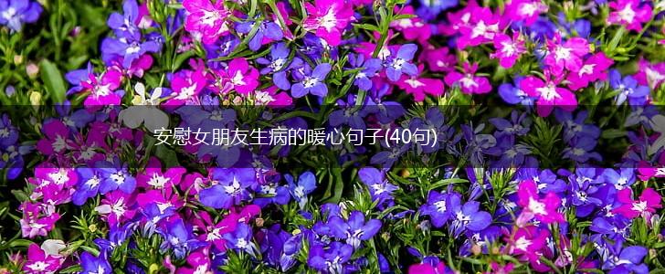 安慰女朋友生病的暖心句子(40句),第1张