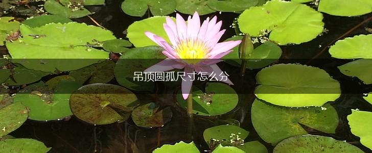 吊顶圆孤尺寸怎么分,第1张