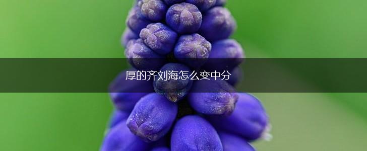 厚的齐刘海怎么变中分,第1张