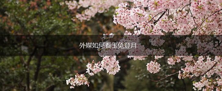 外媒如何看玉兔登月,第1张