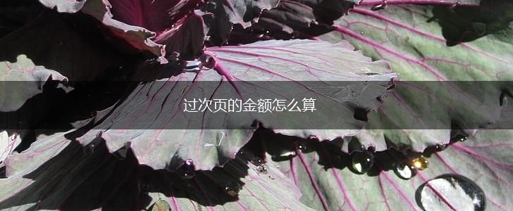 过次页的金额怎么算,第1张