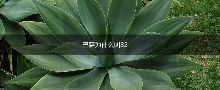 巴萨为什么叫82,第1张