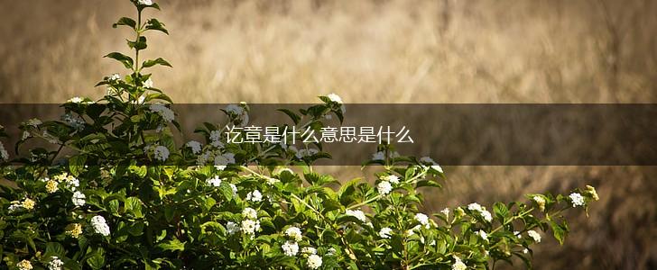 讫章是什么意思是什么,第1张