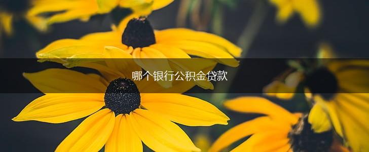 哪个银行公积金贷款,第1张
