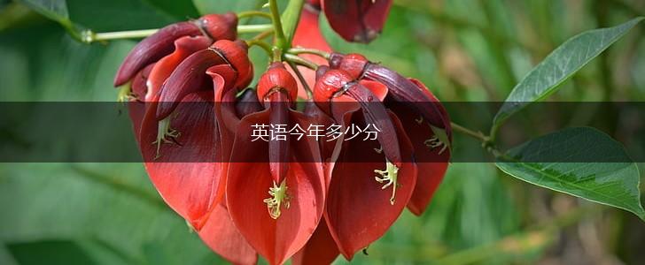 英语今年多少分,第1张