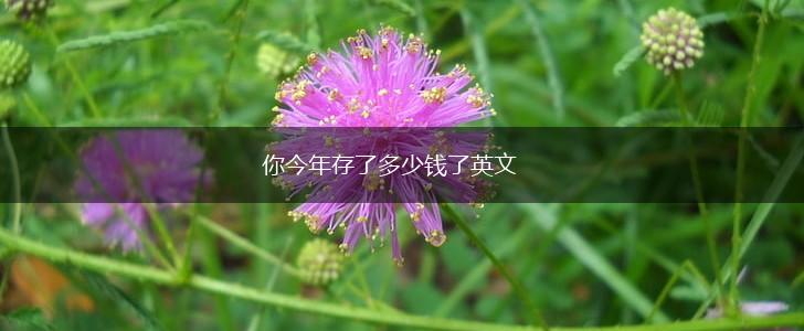 你今年存了多少钱了英文,第1张