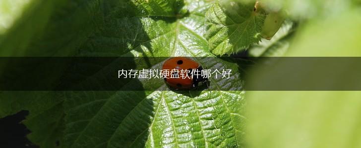 内存虚拟硬盘软件哪个好,第1张