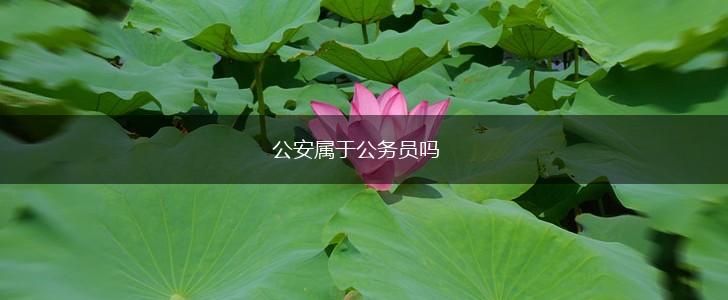 公安属于公务员吗,第1张