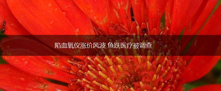 陷血氧仪涨价风波 鱼跃医疗被调查,第1张